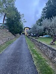 IMG_1648