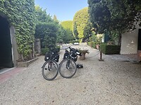 IMG_2769