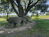 IMG_1018