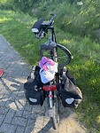 IMG_1004
