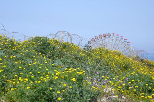 P1100763