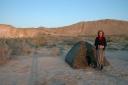 Aralsea