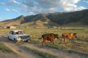 DSC_1565