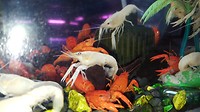 20170720_082919