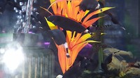 20170720_082907