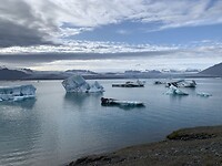 IMG_0709