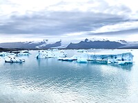 IMG_0713