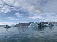 IMG_0730