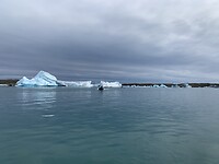 IMG_0731