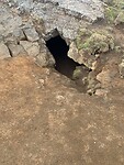 IMG_1329