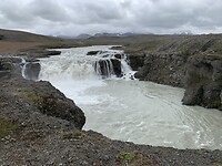 IMG_1334