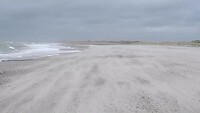 Filmpje Slettestrand