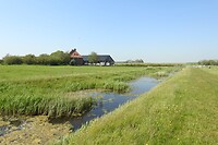 6. Natuurgebied Westerkolk