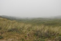 22. Mist in de duinen
