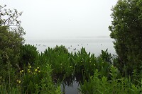 26. Mist in De Horspolders
