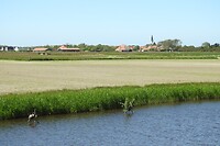 41. Uitzicht naar Den Hoorn