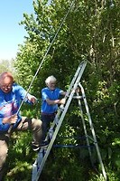 44. Geocache zoeken bij Nieuw Leven in Den Burg