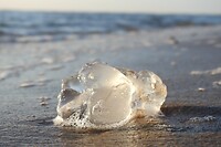 47. Kwal op het strand bij De Koog