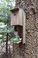 17. Geocache verstopt in het bos