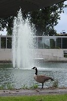 24. Een natuurlijk model bij het Evoluon