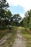 30. In de bossen bij Eersel