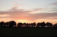 41. Zonsondergang in Wintelre
