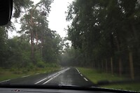 48. Een regenachtige Veluwe