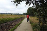 54. Op de fiets de Veluwe over