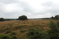 56. Toch een prachtig uitzicht op de Valenberg