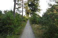 81. Supersmalle fietspaadjes