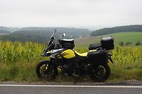 8. Mistige vergezichten