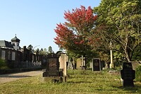 28. De herfst begint zich te tonen...