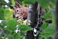 30. Niet helemaal scherp, maar zó schattig