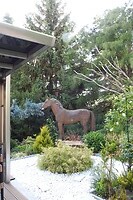 4. Een stukje van de hoteltuin