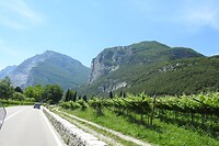 17. Noord-Italië met veel wijngaarden