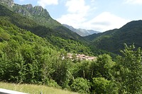 32. Bos, bos, bos in Gardesana Occidentale