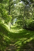 74. Begin van het wandelpad bergopwaarts
