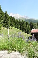 81. Uitzicht op de echte bergen