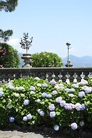 102. Isola Bella