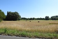 133. Hooibalen vlakbij de Franse grens