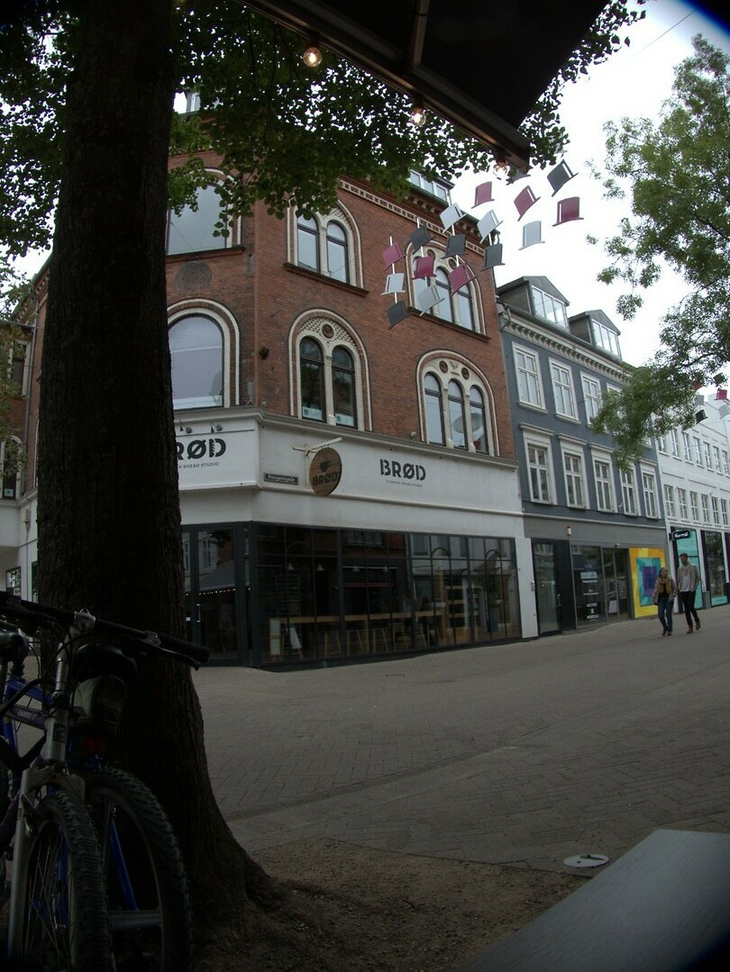 2. Het centrum van Odense