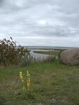 38. Natuurreservaat Bunkeflo