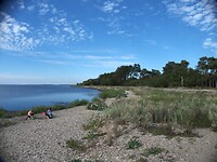 49. Strand Camping Sandvik