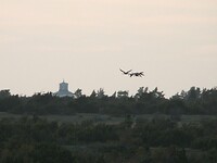 65. Kraanvogels boven Möckelmossen