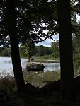 103. Doorkijkje in het bos