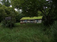 114. Een mythische plek in het bos