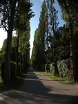 149. Assistens Kirkegard begraafplaats en park