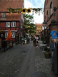 12. Ieder jaar een ander thema in dit straatje