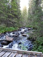 29. Wandeling vlakbij de camping