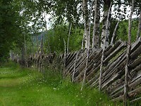 35. Typisch Scandinavisch hekwerk